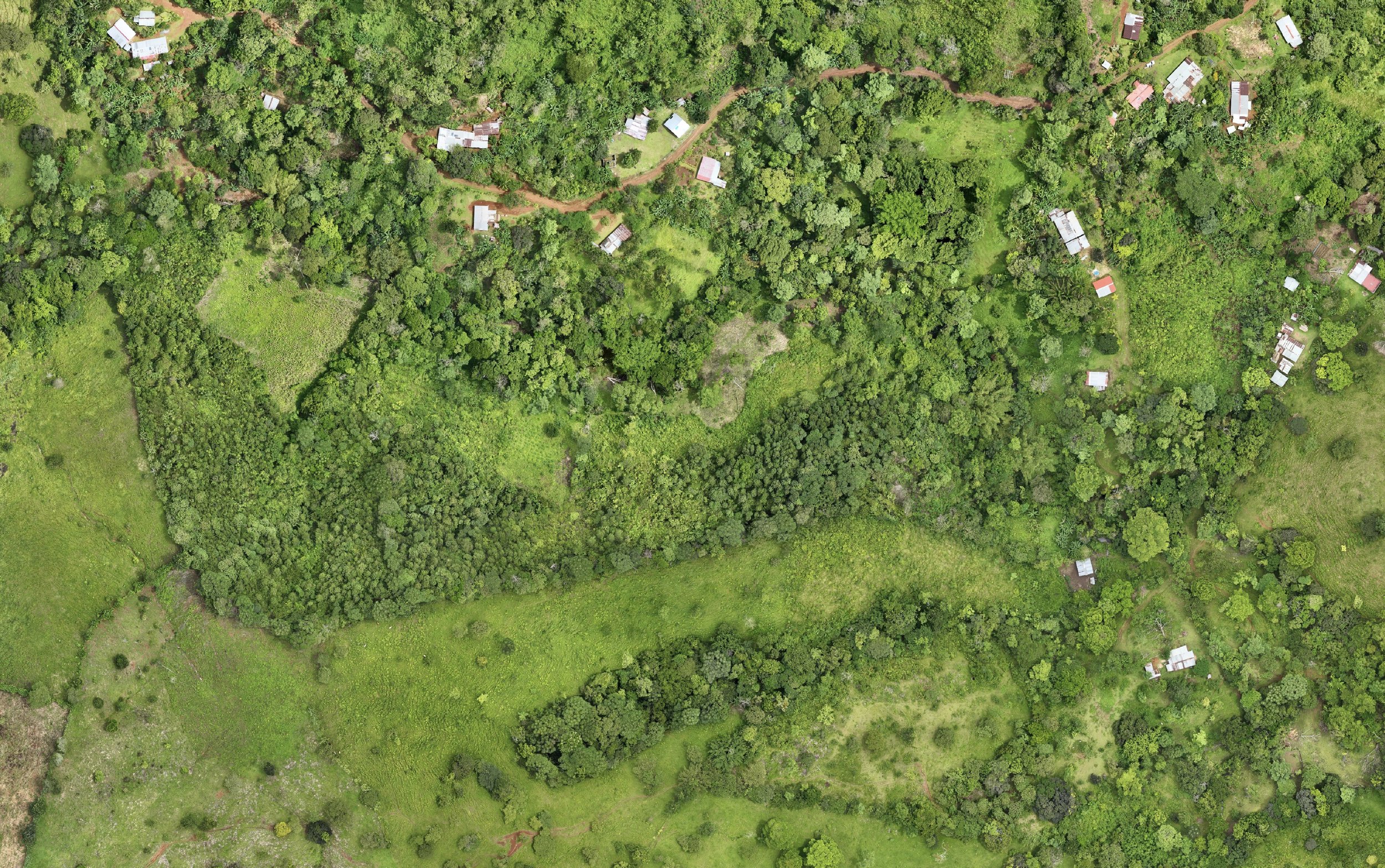 Aerial orthophoto of a forested property and surrounding terrain